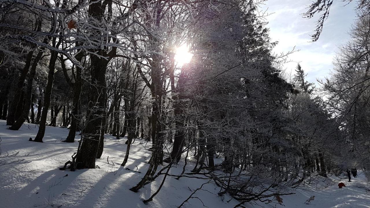 L'Ideal Gerardmer Bagian luar foto