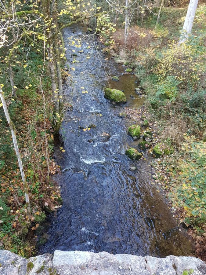L'Ideal Gerardmer Bagian luar foto
