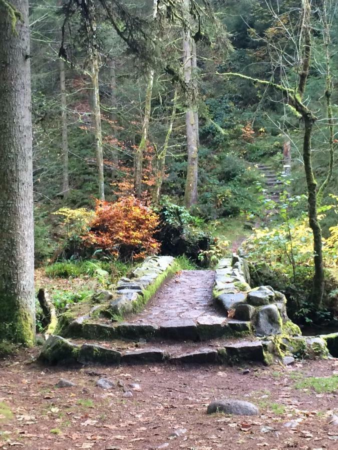 L'Ideal Gerardmer Bagian luar foto