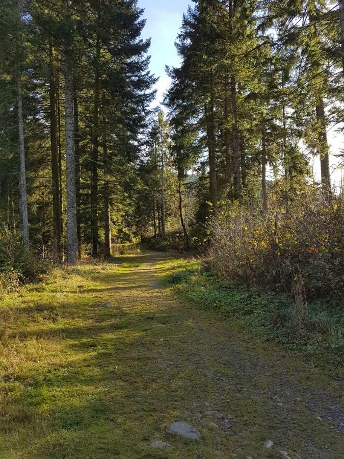 L'Ideal Gerardmer Bagian luar foto